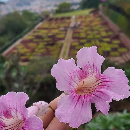 Personal 3 Apartmán