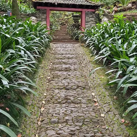 Personal 3 Apartmán Funchal (Madeira)