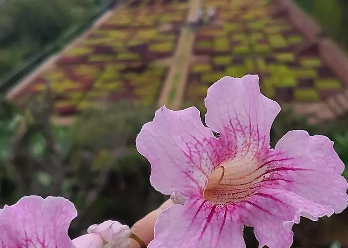 Personal 3 Apartment