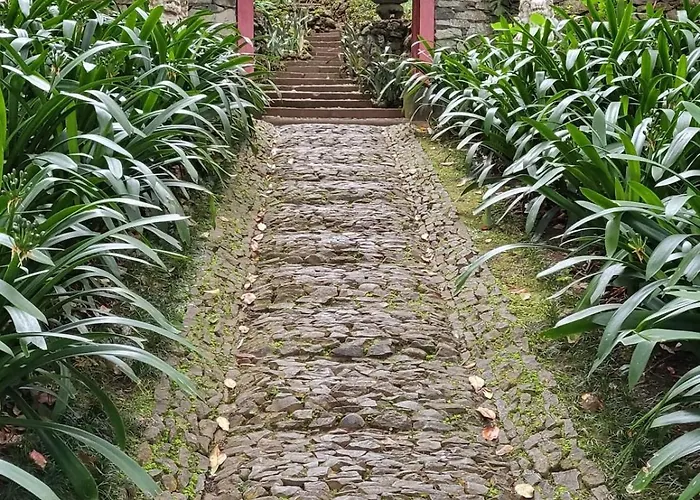 Personal 3 Apartment Funchal (Madeira)